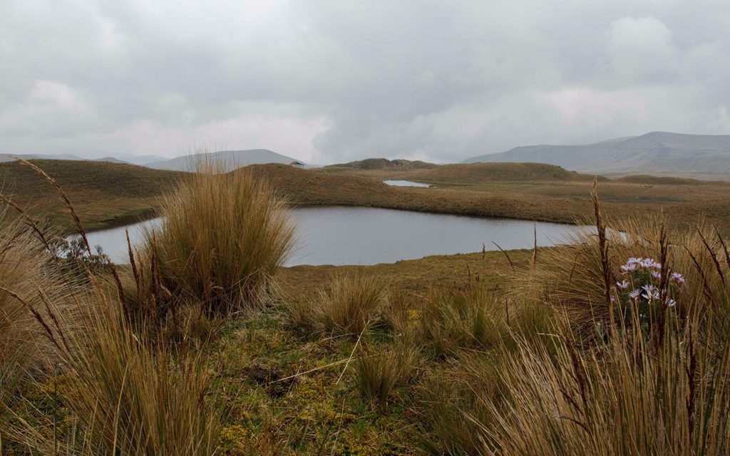 COTOPAXI NATIONAL PARK (1 day)