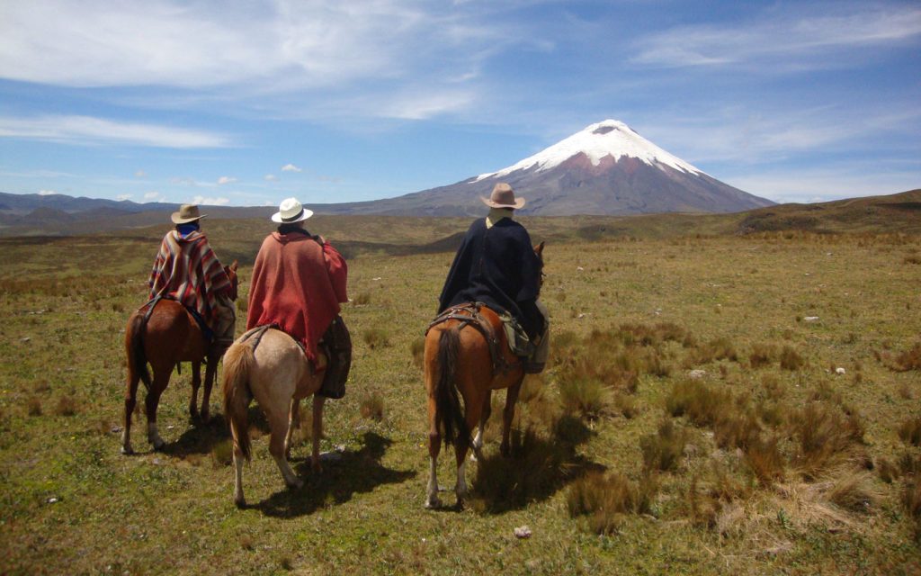 RIDE A HORSE