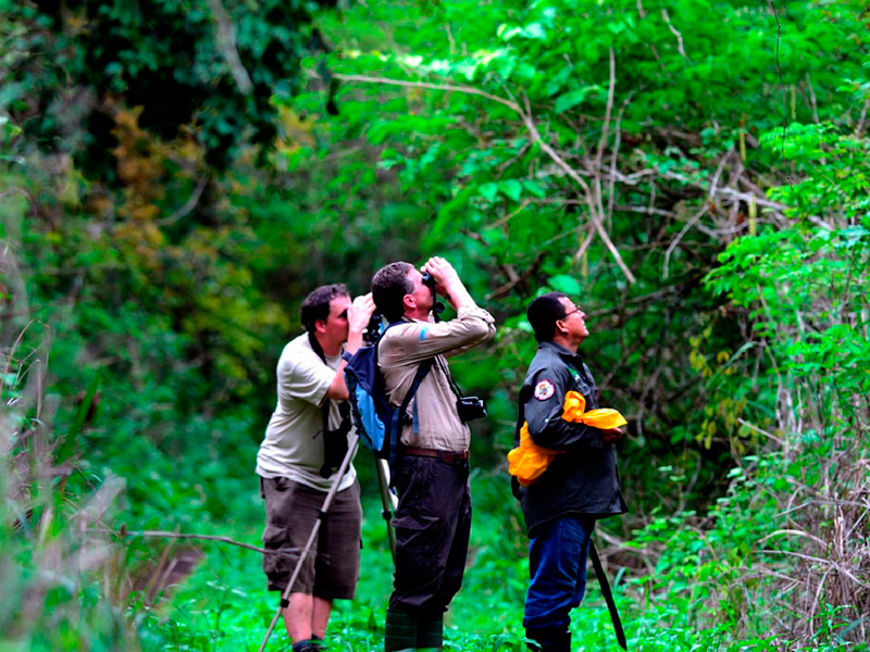 CERRO BLANCO, NATURELLE RESERVE