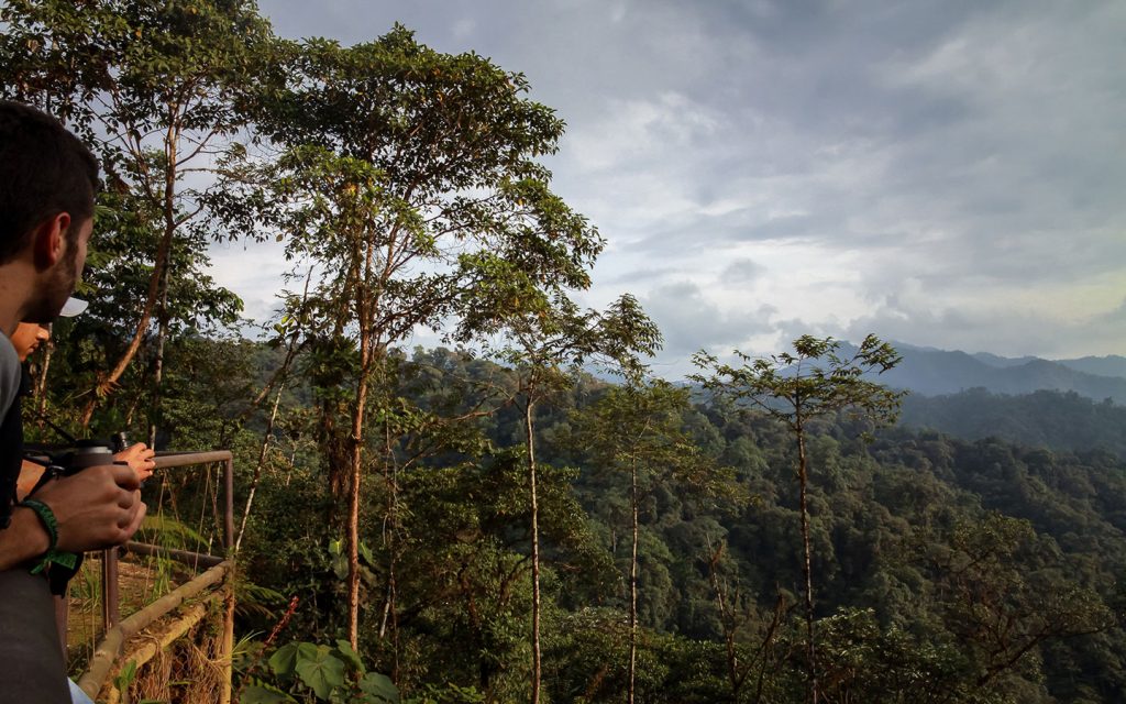 MINDO, THE FOREST IN THE CLOUD – 2 DAYS