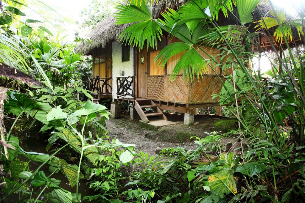 LIANA LODGE