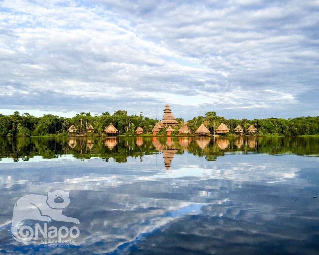 NAPO WILDLIFE CENTER