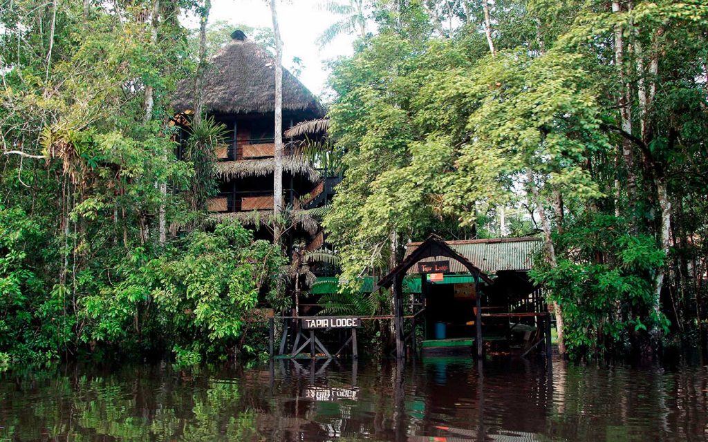 TAPIR LODGE