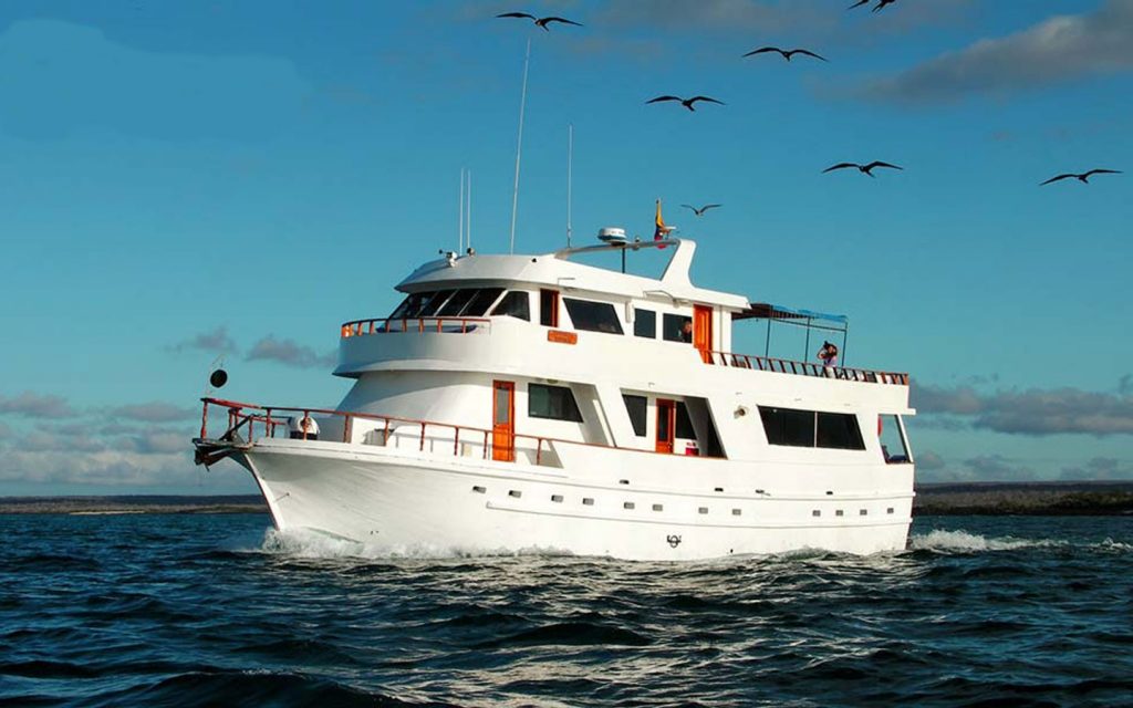 M/Y DARWIN