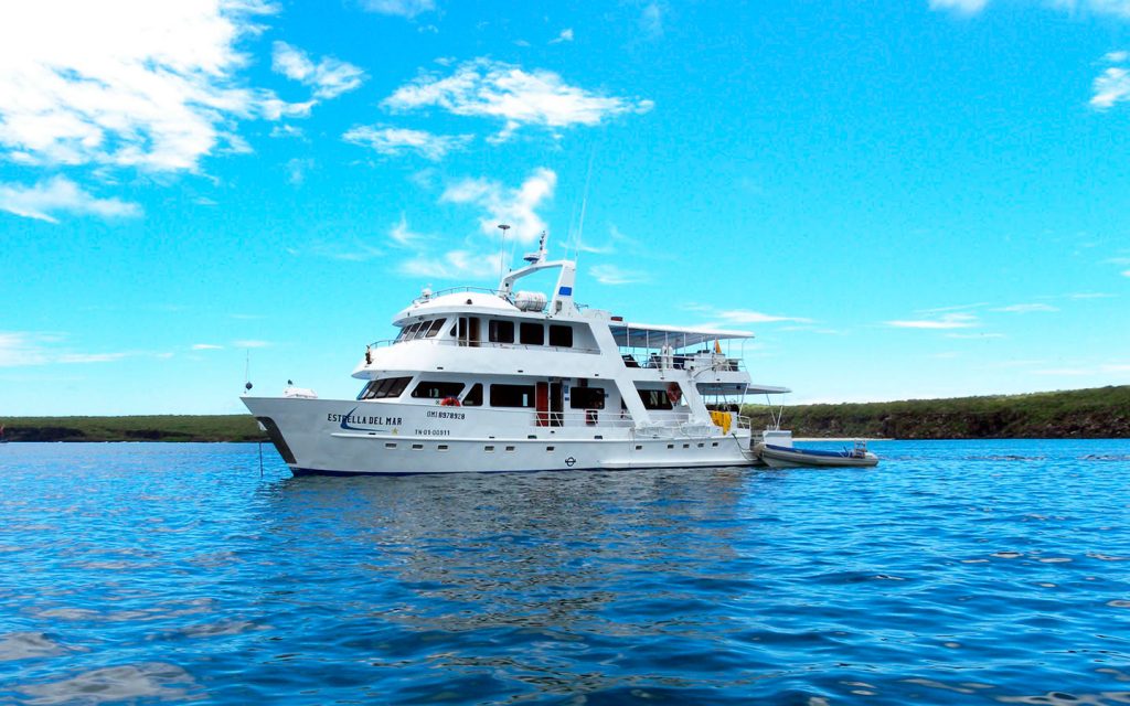 STARFISH YACHT