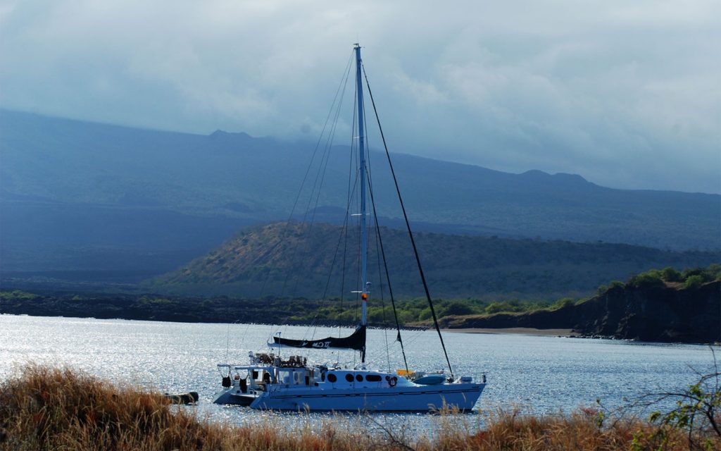 CATAMARAN NEMO II