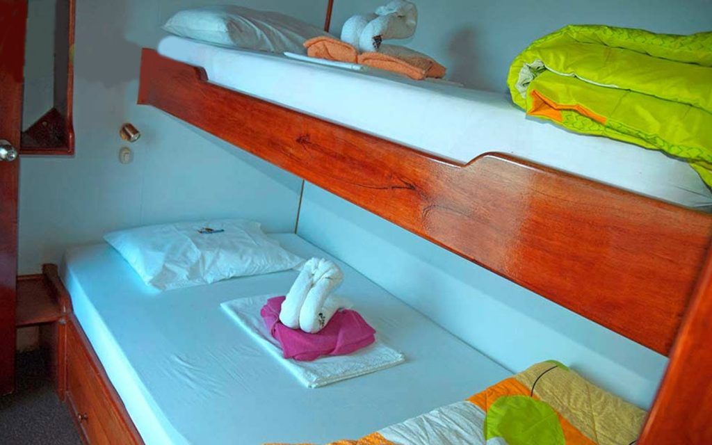 M/Y DARWIN