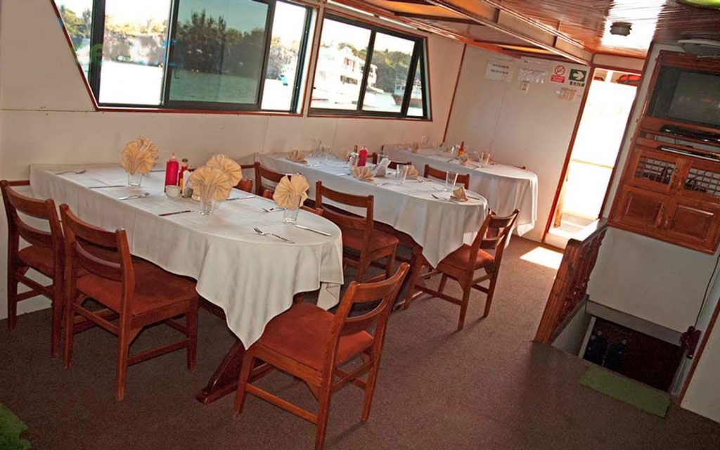 M/Y DARWIN