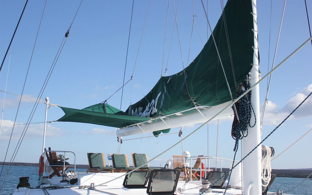 CATAMARAN NEMO II