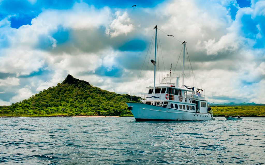 M/Y SWALLOW