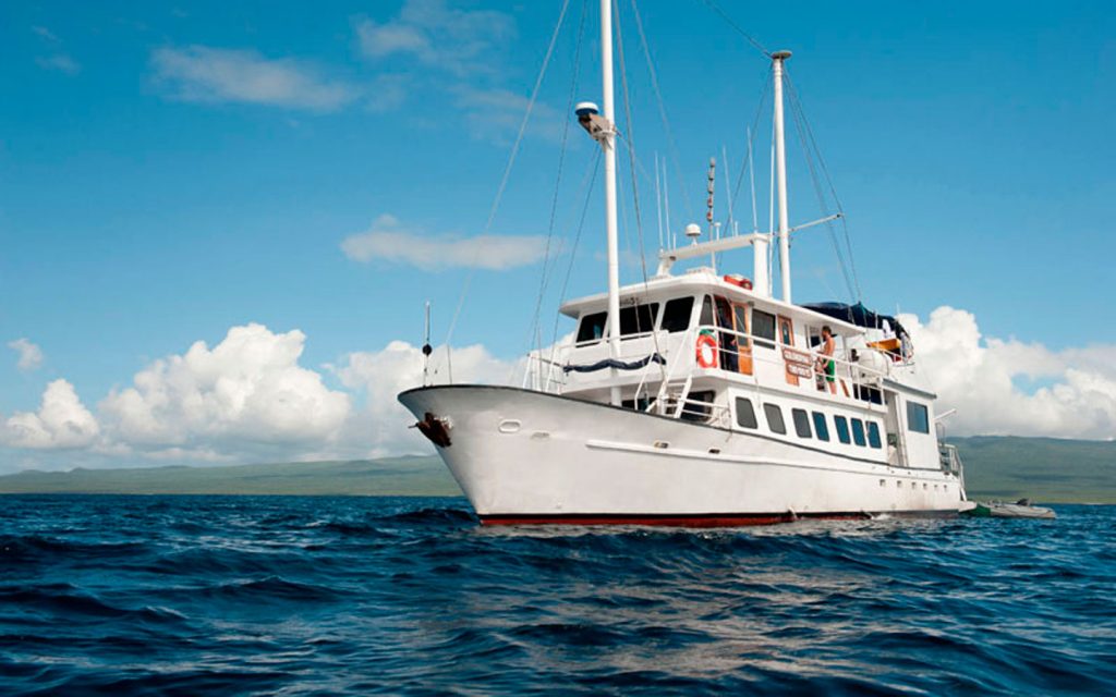 M/Y SWALLOW