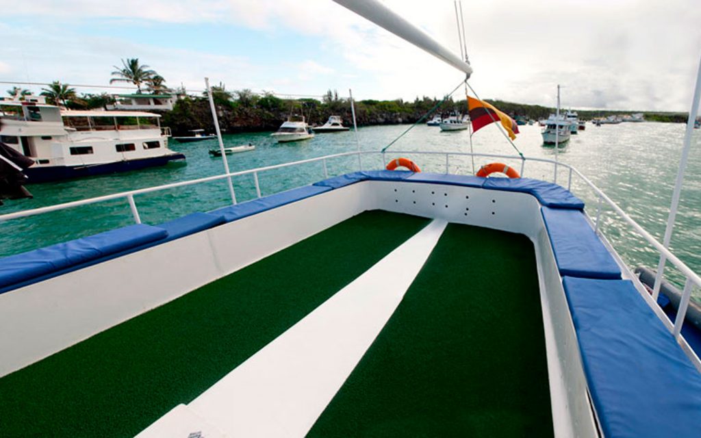M/Y SWALLOW