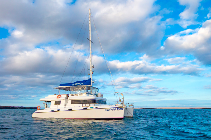LONESOME GEORGE DIVING CRUISE