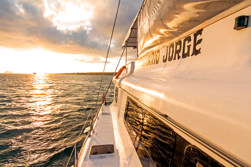 LONESOME GEORGE DIVING CRUISE