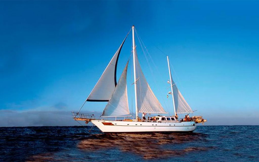 NAUTILUS DAILY DIVING CRUISE