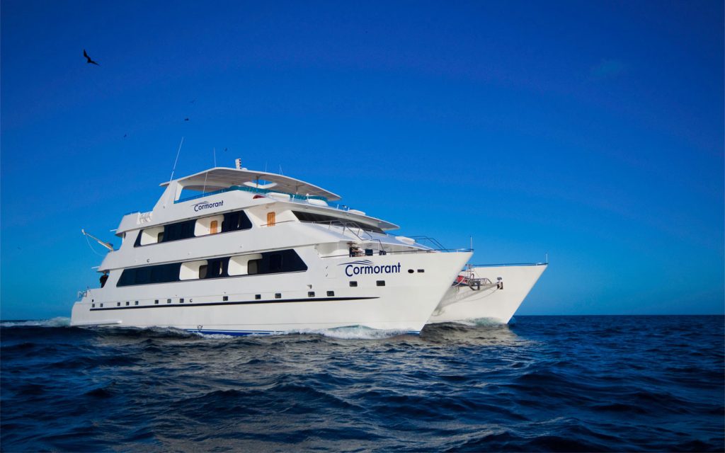 CATAMARAN CORMORANT