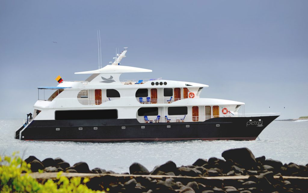 PETREL CATAMARAN