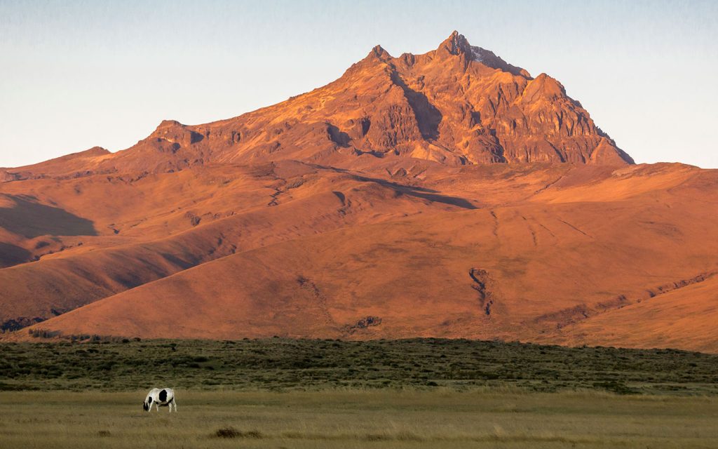 COTOPAXI NATIONAL PARK (1 day)