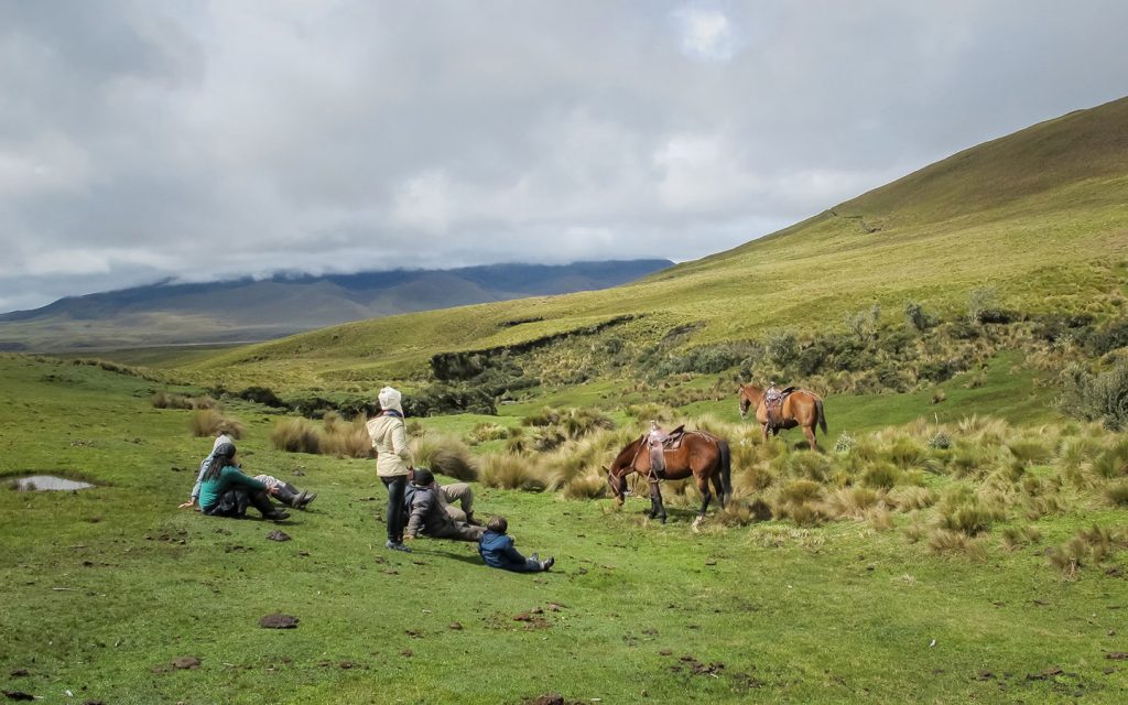 RIDE A HORSE