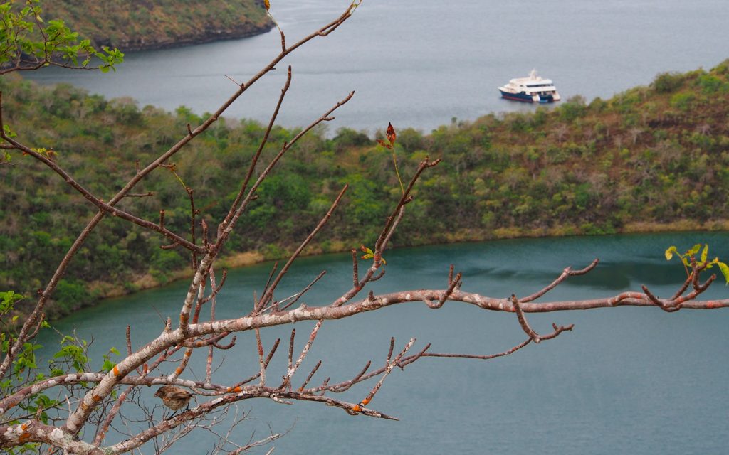 Santa Cruz, Isabela 8 days / 7 nights