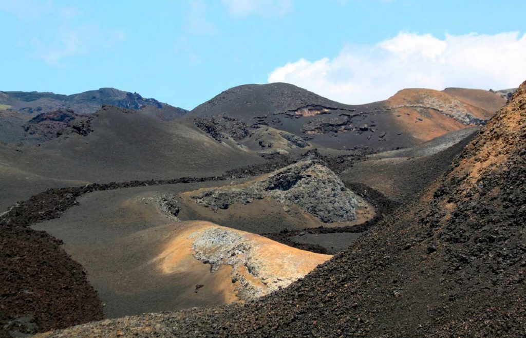 Santa Cruz, Isabela 8 days / 7 nights
