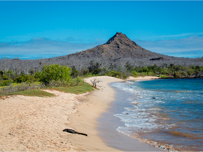 6 DAYS – SANTA CRUZ – ISABELA & 2 MORE ISLANDS