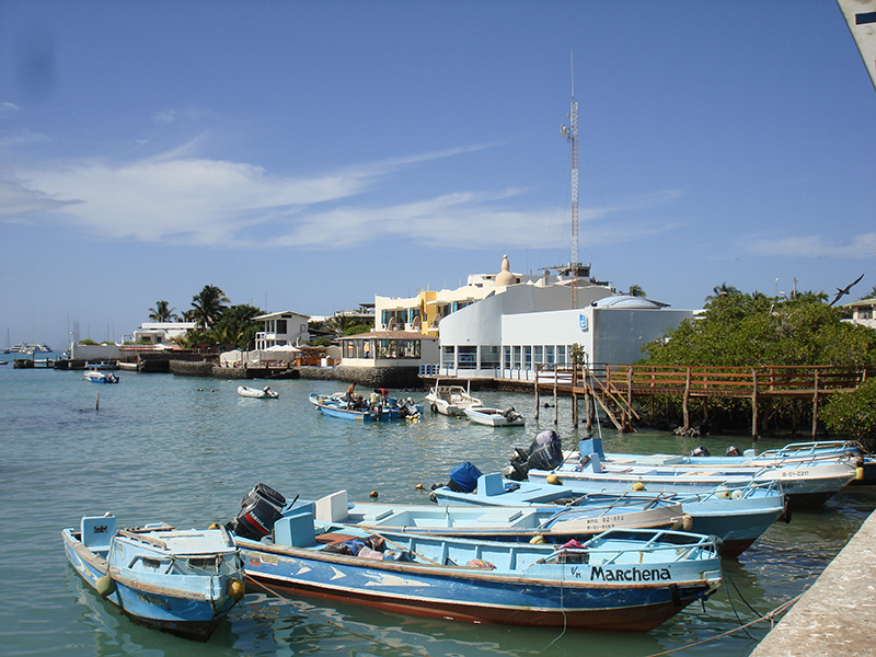 Santa Cruz, Isabela 8 days / 7 nights