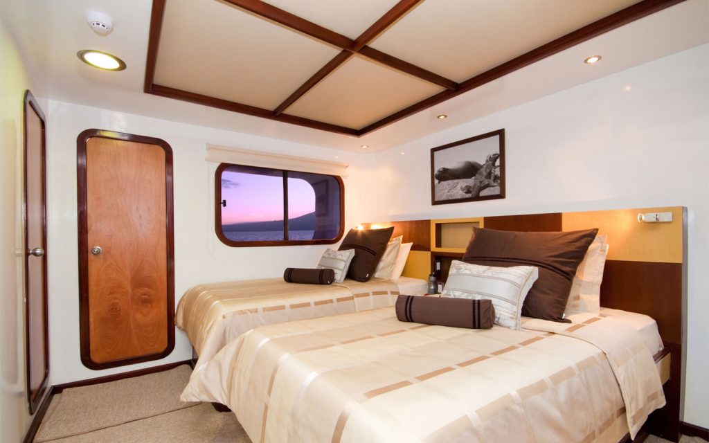 CATAMARAN CORMORANT