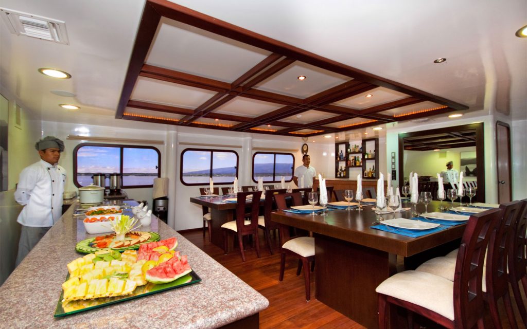 CATAMARAN CORMORANT