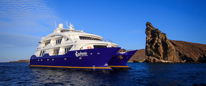 ENDEMIC CATAMARAN