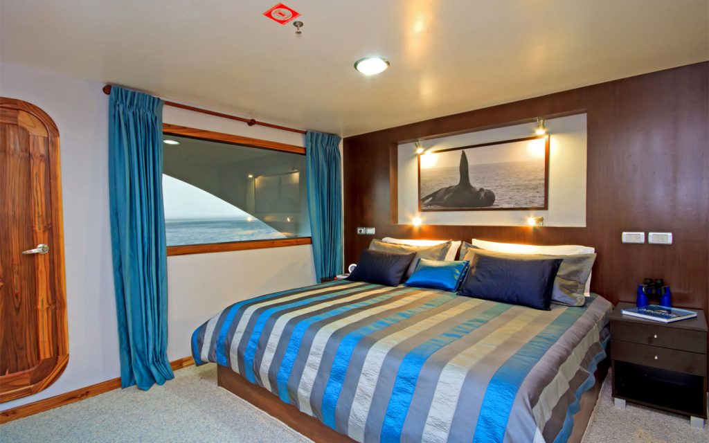 OCEAN SPRAY CATAMARAN