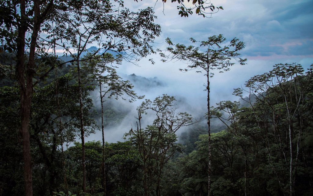 THE VALLEY OF A THOUSAND WONDERS, MINDO. (1 day)